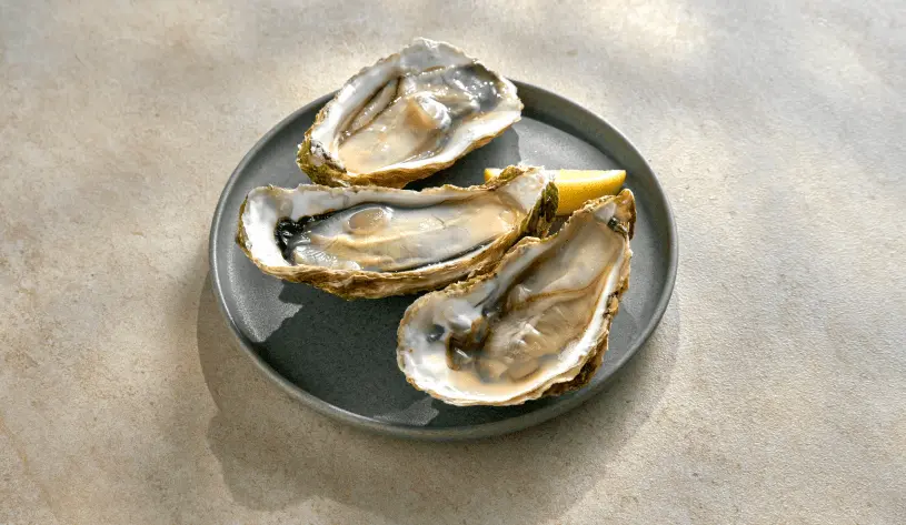 Oyster